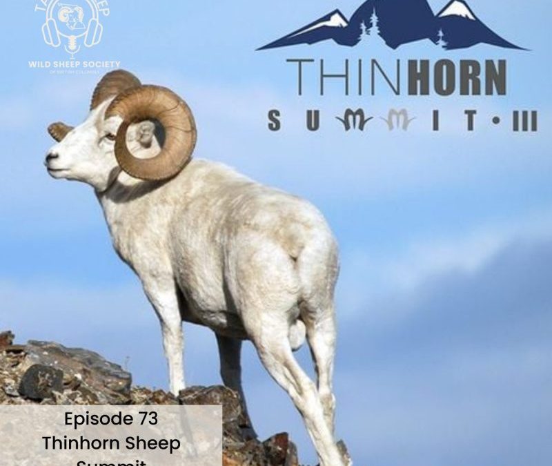 EP 73: Thinhorn Summit III with Kevin Hurley