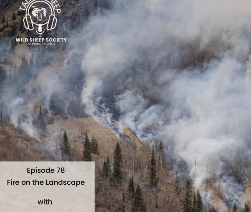 EP 78: Fire on the Landscape with Josh Hamilton
